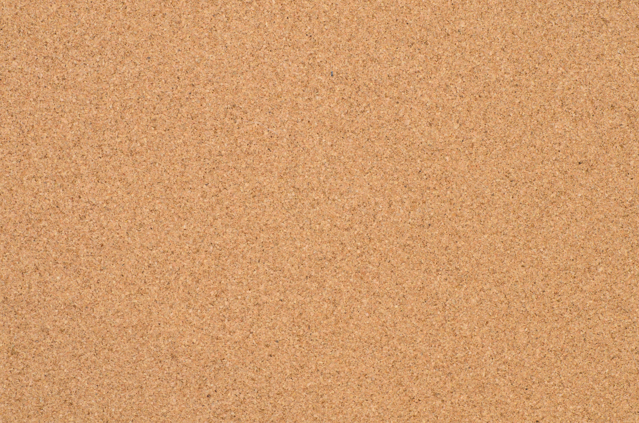 cork board texture